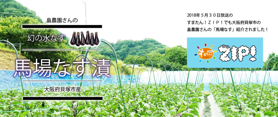 馬場なす 馬場なす