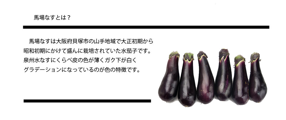 馬場なす 馬場なす