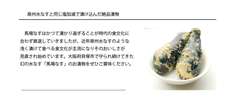 馬場なす 馬場なす